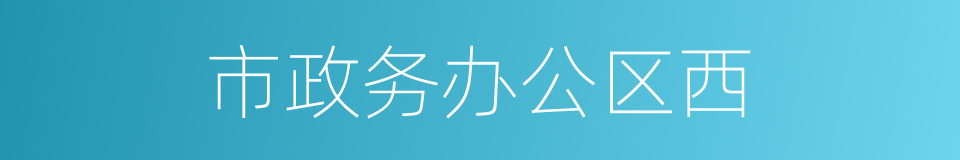 市政务办公区西的同义词