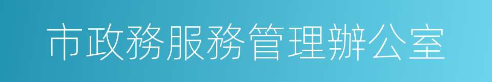 市政務服務管理辦公室的同義詞