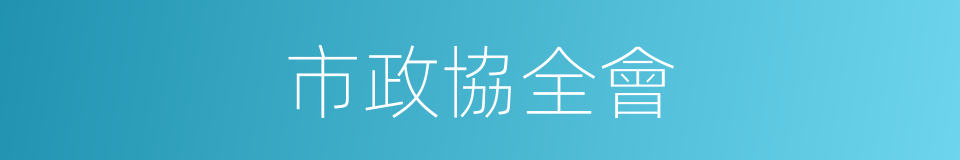 市政協全會的同義詞