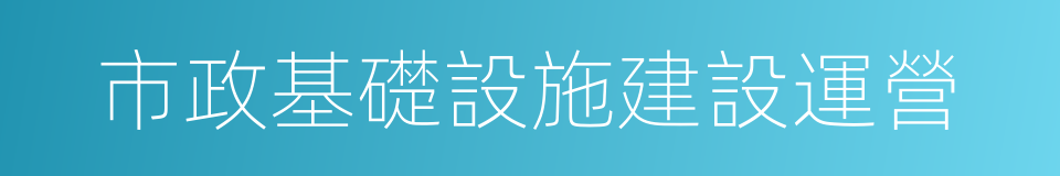 市政基礎設施建設運營的同義詞