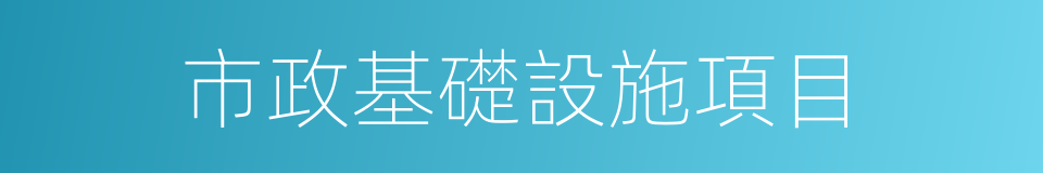 市政基礎設施項目的同義詞