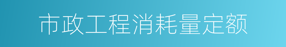 市政工程消耗量定额的同义词