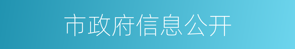 市政府信息公开的同义词