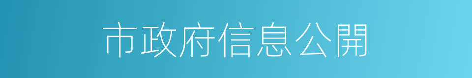 市政府信息公開的同義詞