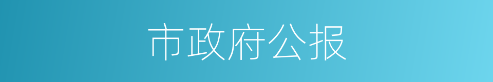 市政府公报的同义词