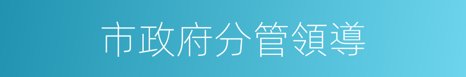市政府分管領導的同義詞