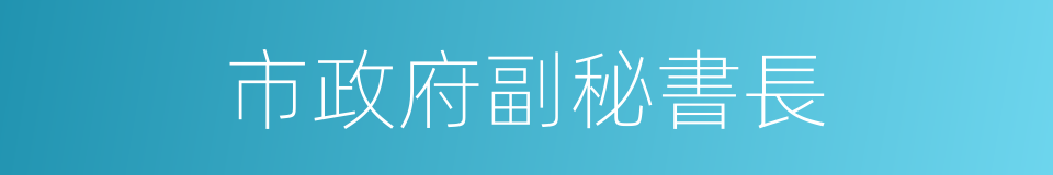 市政府副秘書長的同義詞