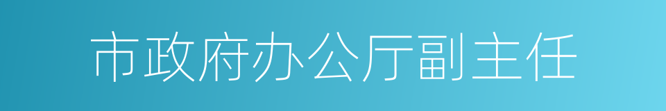 市政府办公厅副主任的同义词