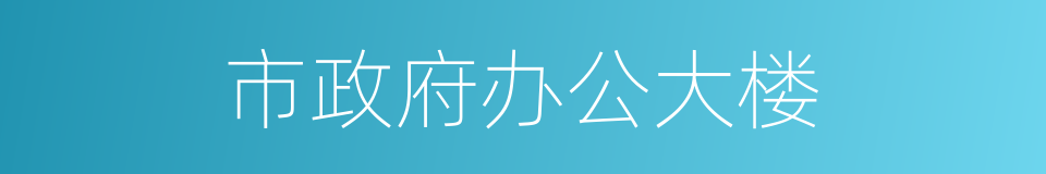 市政府办公大楼的同义词