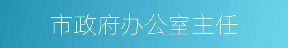 市政府办公室主任的同义词