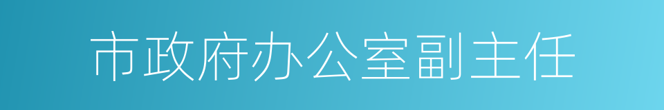 市政府办公室副主任的同义词