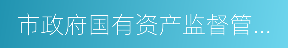 市政府国有资产监督管理委员会的同义词