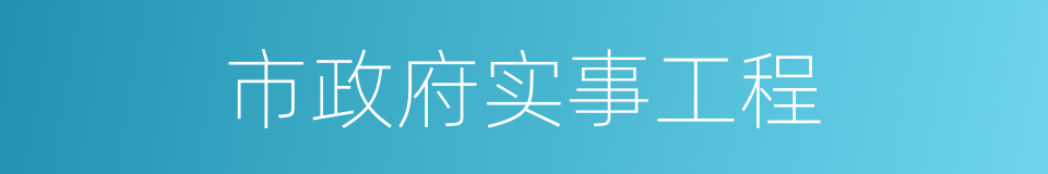 市政府实事工程的同义词