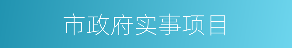 市政府实事项目的同义词