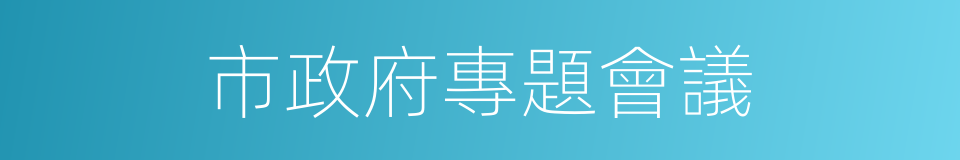 市政府專題會議的同義詞