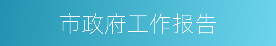 市政府工作报告的同义词