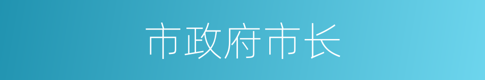 市政府市长的同义词