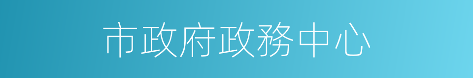 市政府政務中心的同義詞