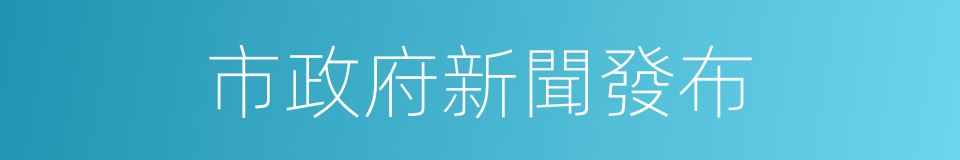 市政府新聞發布的同義詞