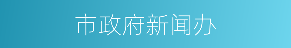 市政府新闻办的同义词