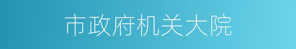 市政府机关大院的同义词