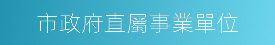 市政府直屬事業單位的同義詞