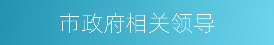 市政府相关领导的同义词