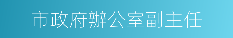 市政府辦公室副主任的同義詞