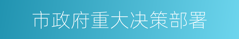 市政府重大决策部署的同义词