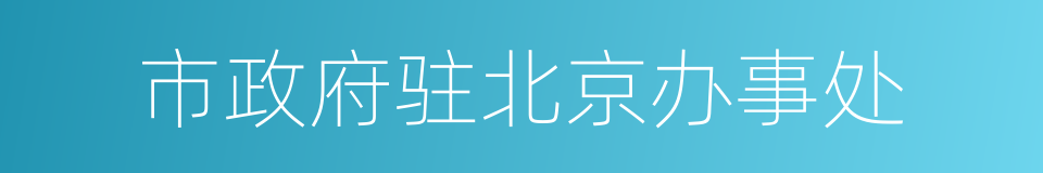 市政府驻北京办事处的同义词