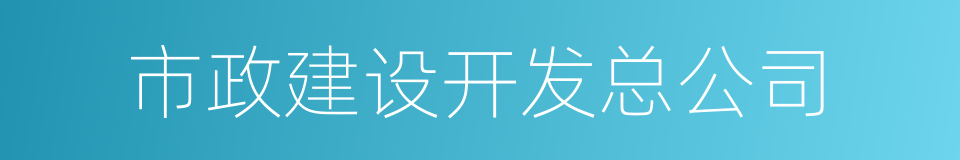 市政建设开发总公司的同义词