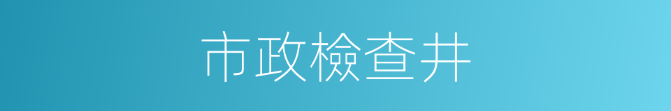 市政檢查井的同義詞