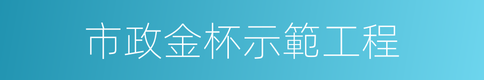 市政金杯示範工程的同義詞