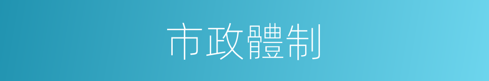 市政體制的同義詞