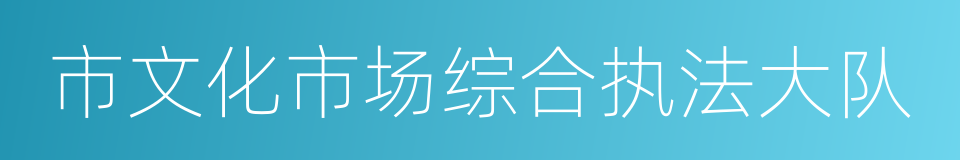 市文化市场综合执法大队的同义词