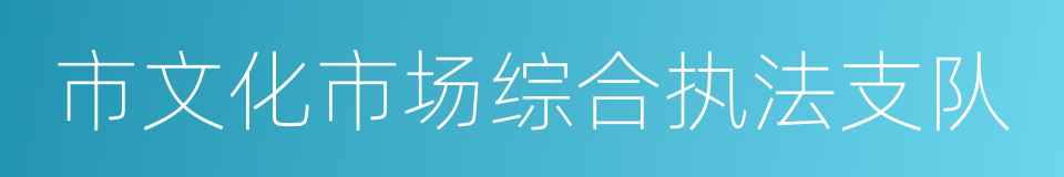 市文化市场综合执法支队的同义词