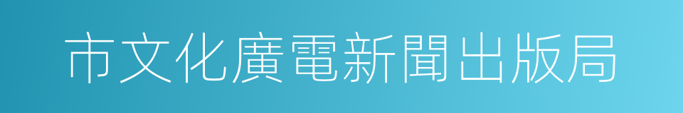 市文化廣電新聞出版局的同義詞