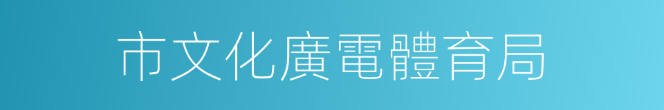 市文化廣電體育局的同義詞