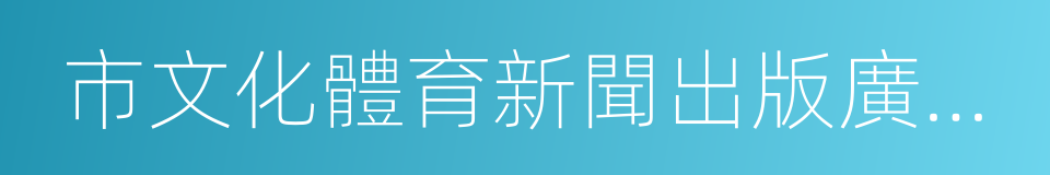 市文化體育新聞出版廣電局的同義詞