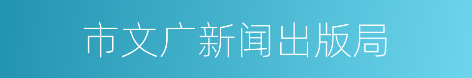 市文广新闻出版局的同义词