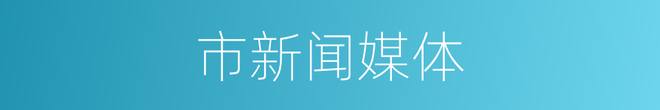 市新闻媒体的同义词