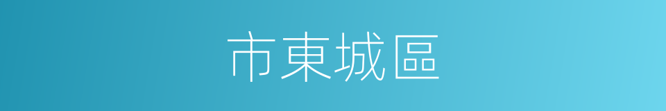 市東城區的同義詞