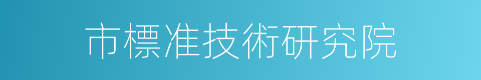 市標准技術研究院的同義詞