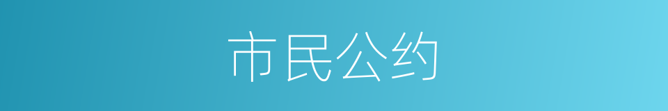 市民公约的同义词