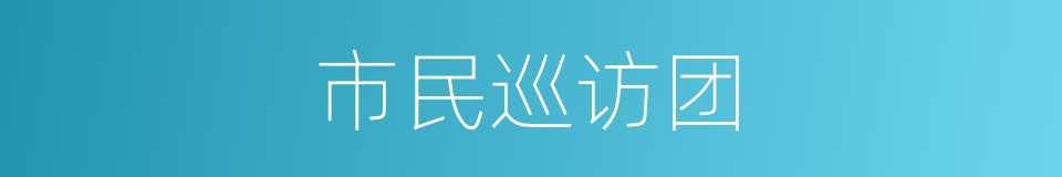 市民巡访团的同义词