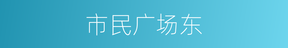 市民广场东的同义词