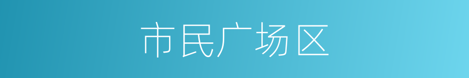 市民广场区的同义词