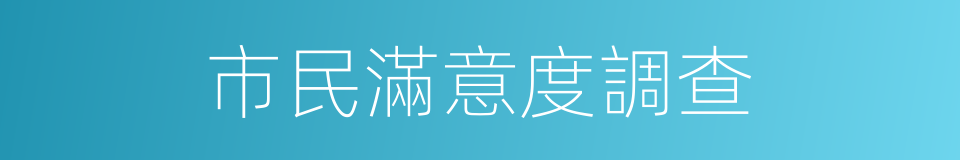 市民滿意度調查的同義詞