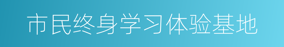 市民终身学习体验基地的同义词