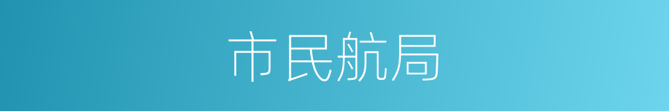 市民航局的同义词
